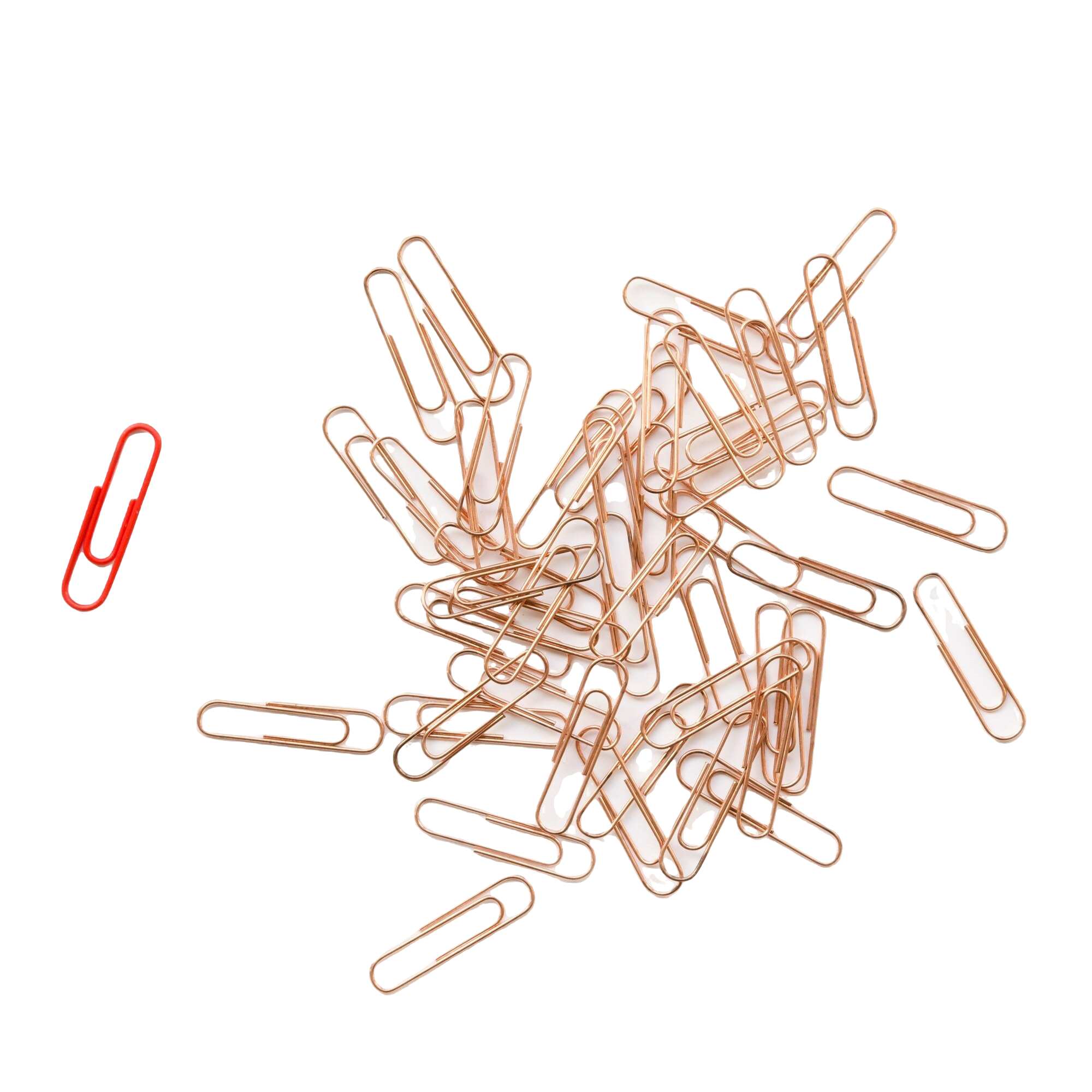 collection-copper-paper-clips-red-one